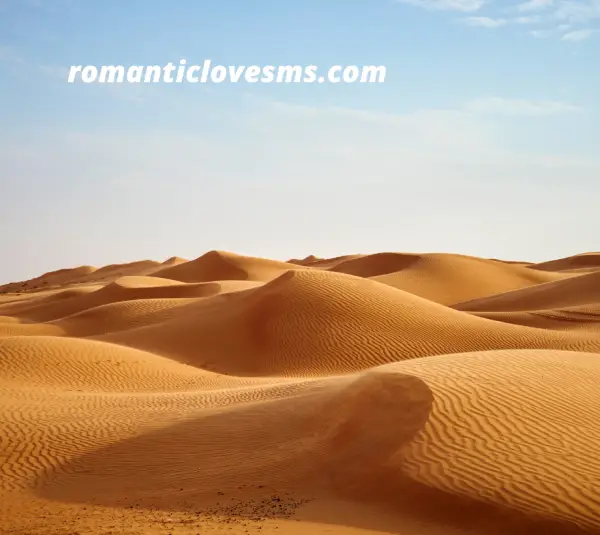Desert Captions For Instagram