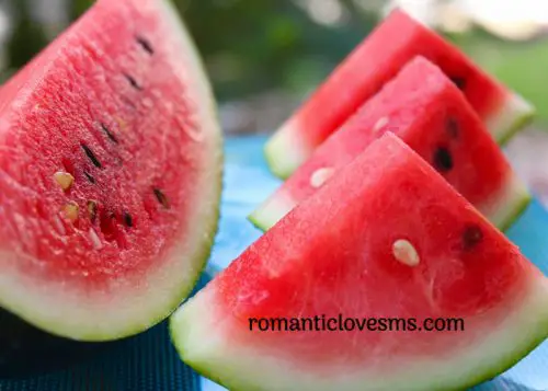 Watermelon Quotes and Sayings