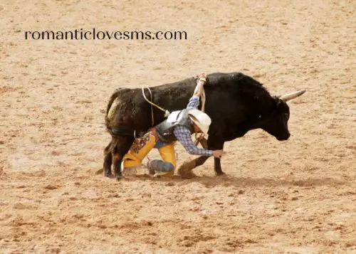 Bull Riding Quotes and Captions
